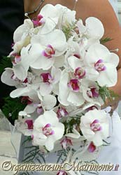bouquet sposa orchidea